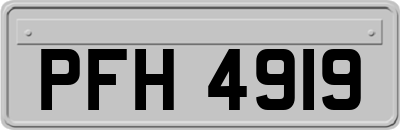 PFH4919