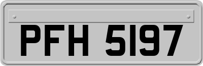 PFH5197