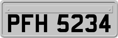 PFH5234