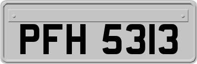 PFH5313