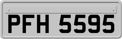 PFH5595