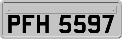 PFH5597