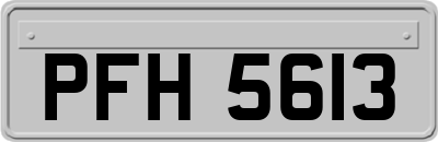 PFH5613