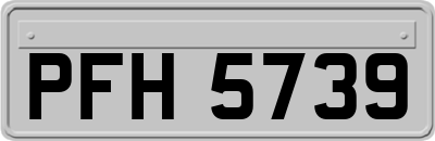 PFH5739