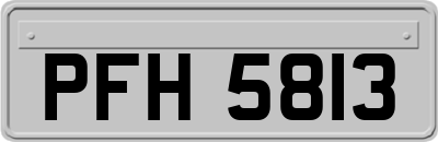 PFH5813