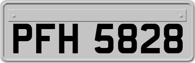 PFH5828