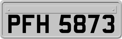 PFH5873