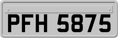 PFH5875