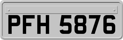 PFH5876