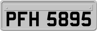 PFH5895