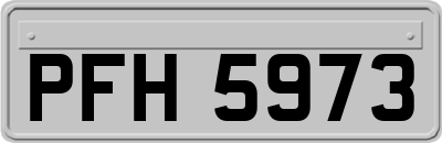 PFH5973