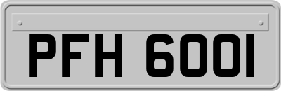 PFH6001