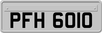 PFH6010