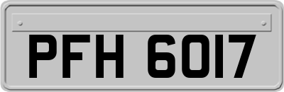 PFH6017