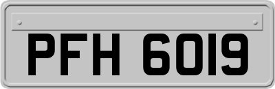 PFH6019