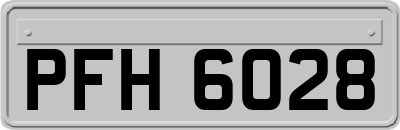PFH6028