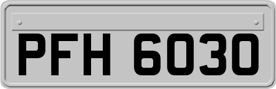 PFH6030