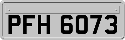 PFH6073