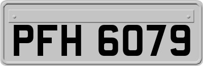 PFH6079