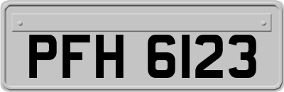 PFH6123