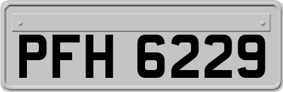 PFH6229