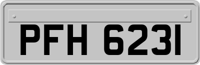 PFH6231
