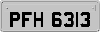 PFH6313