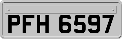 PFH6597