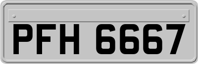 PFH6667