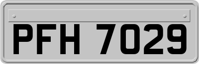 PFH7029