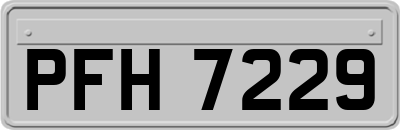 PFH7229