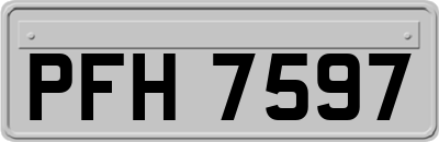 PFH7597