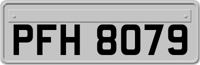 PFH8079