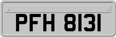 PFH8131