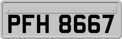 PFH8667
