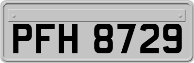 PFH8729