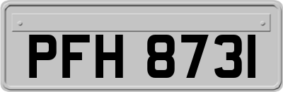 PFH8731