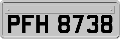 PFH8738