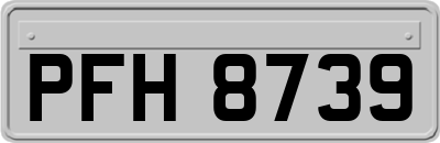 PFH8739