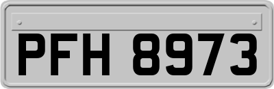 PFH8973