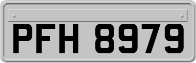 PFH8979