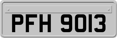 PFH9013