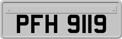 PFH9119