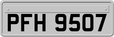 PFH9507