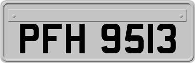 PFH9513