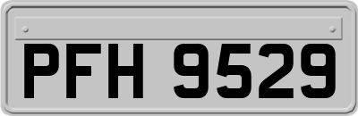 PFH9529