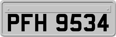 PFH9534