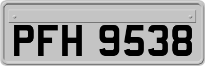 PFH9538