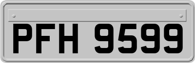 PFH9599