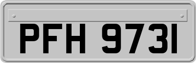 PFH9731
